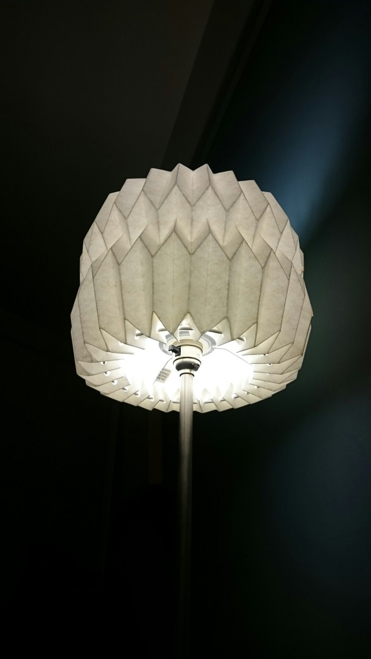 wp-1447013298028 image